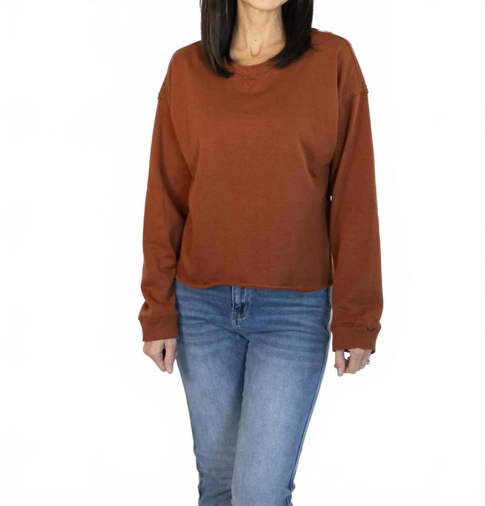 NEW WISHLIST kye crewneck sweatshirt in brick
